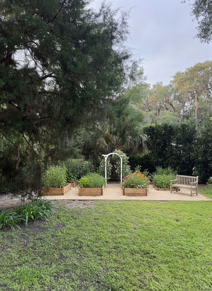The garden picture: four cedar beds, a white arch, zinnias, a bench under the oaks — the backyard as it will be